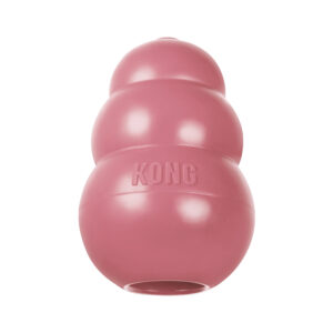 KONG ESPECIAL CACHORROS