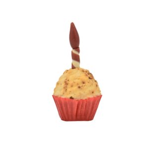 PARTY SNACK CUPCAKE 65gr