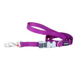 Correa Red Dingo Superlead morado