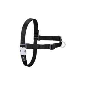 Petral Red Dingo No-Pull Negro