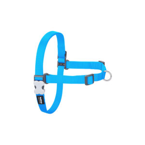 Petral Red Dingo No-Pull Turquesa
